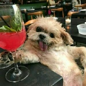 Meet your Posher, Deborah